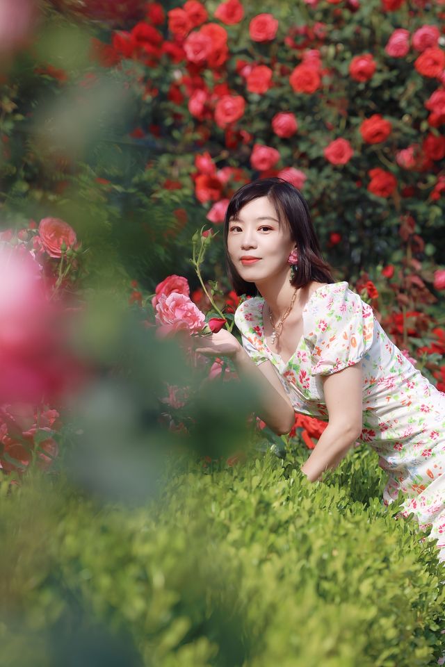 藏在胡同裡的巴黎，這片免費月季秘境太美了