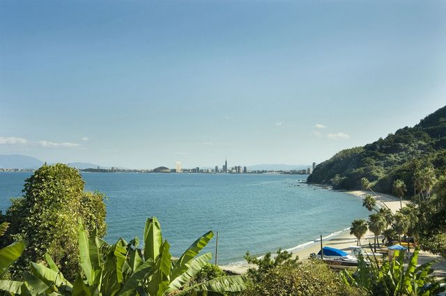 福岡能古島：四季花海×絕景離島秘境
