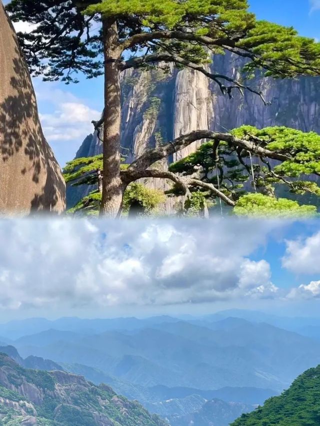 黃山雲海現場實錄