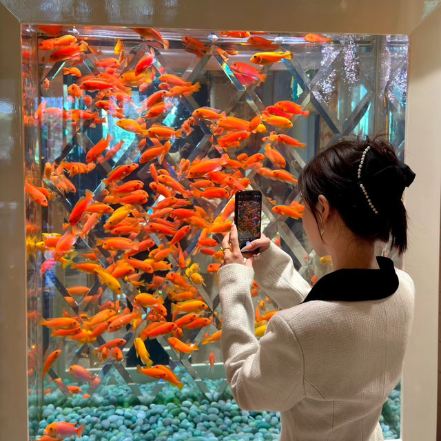 【澳門美食推薦】九鯤餐廳體驗分享✨