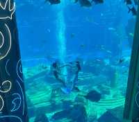 三亞亞特蘭蒂斯終極攻略：夢幻海洋之旅