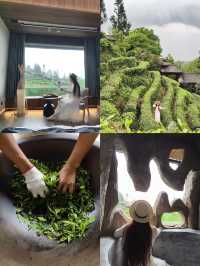 成都周邊避暑遛娃｜住進25°C嘅夏天