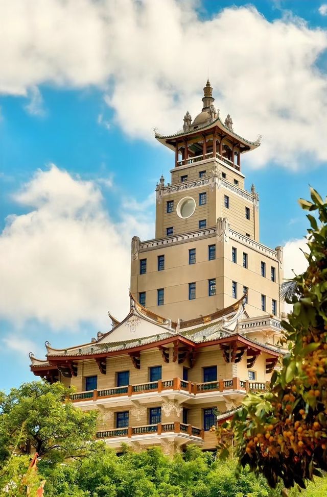廈門嘅春天，邂逅美好