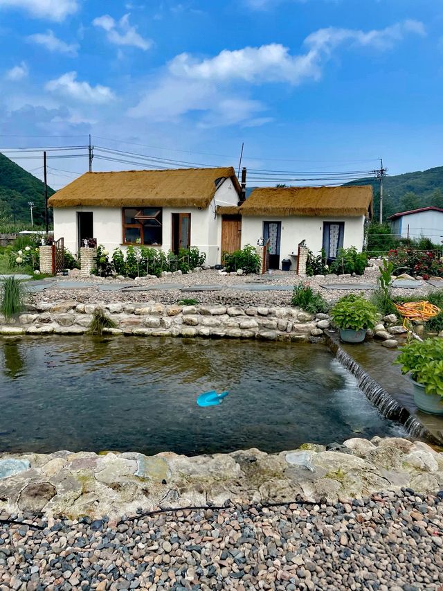 本溪院裡樹下露營|瀋陽後花園嘅吸氧之旅