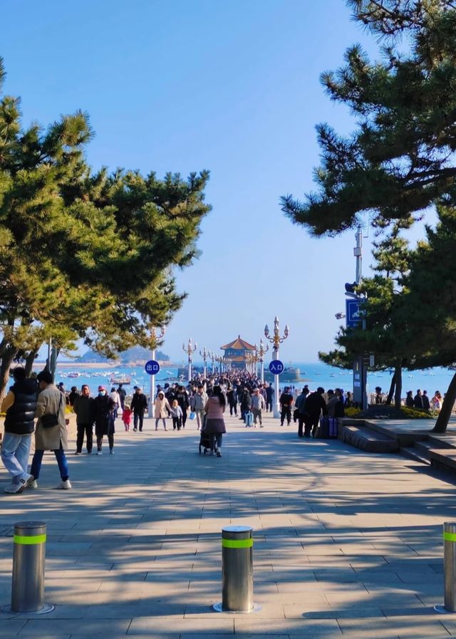 青島寶藏酒店推薦