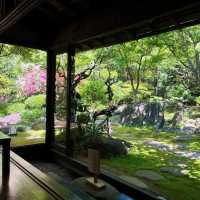 前野原溫泉 さやの湯処｜東京板橋區的苔蘚枯山水秘境