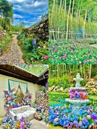 安吉驚現「莫奈花園」！油畫般嘅稻田咖啡，隨手一拍就係大片！