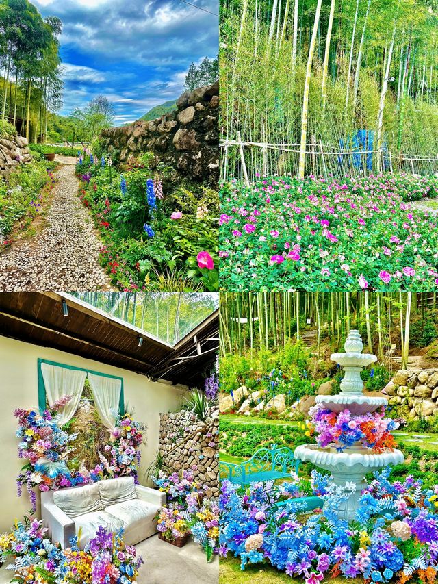 安吉驚現「莫奈花園」！油畫般嘅稻田咖啡，隨手一拍就係大片！