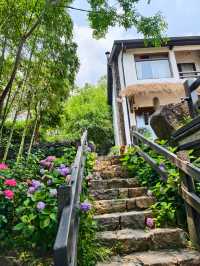 在莫干山邂逅雲岸山居