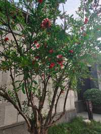 【西安住城牆下獨棟別墅頂配玩法～】