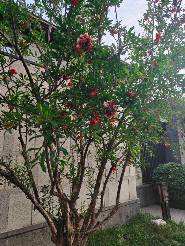 【西安住城牆下獨棟別墅頂配玩法～】