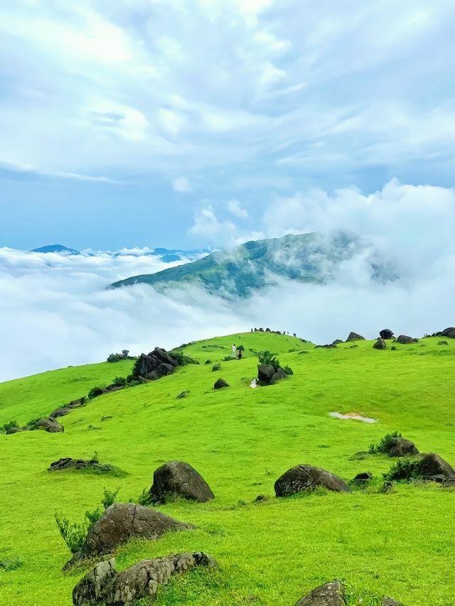 半山腰太擠擁，你得去山頂看看|望洲頂