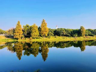 Weekend Worker Travel Station 56 Guangdong Songshan Lake Town