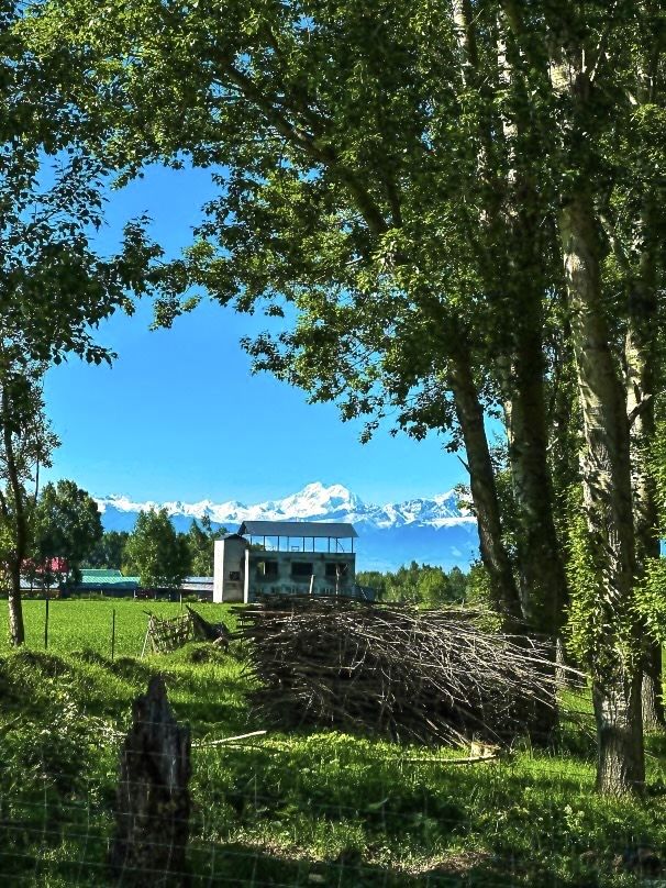 昭蘇·最適合田園牧歌嘅地方｜住進湖景小木屋，做一場慢節奏嘅夢