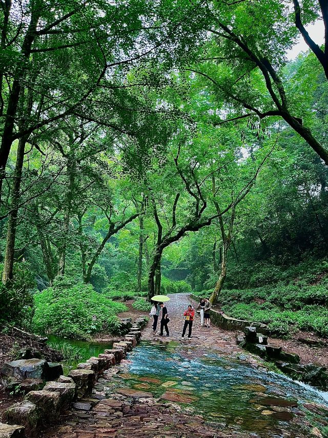 【杭州旅遊必備】九溪十八澗徒步路線，一篇搞掂！