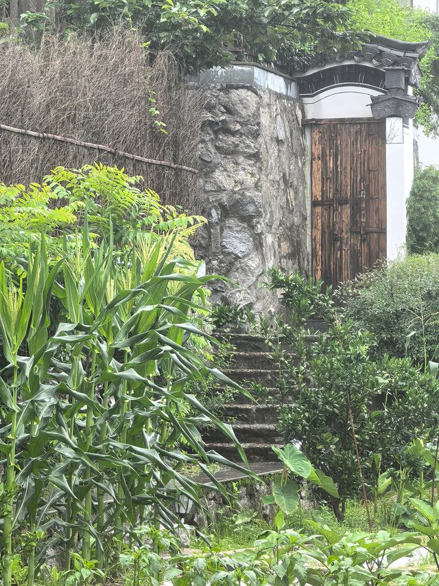山知道我的名字，只是忘了告訴你…