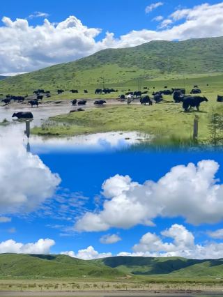 Just returned from a self-drive trip to Gannan—this is truly a must-visit destination in a lifetime!