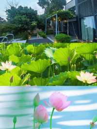 逃離喧囂好去處 蘇州太湖嘅神仙度假村