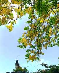 中山公園賞花奇遇！錦江之星品尚酒店畀你超暖心體驗！