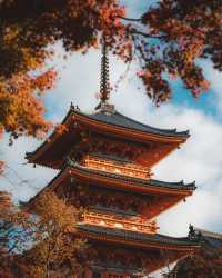 京都：在古建築與千年時光擦肩而過