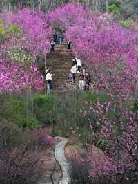 台州小眾旅遊地，邂逅醉美天台霞光