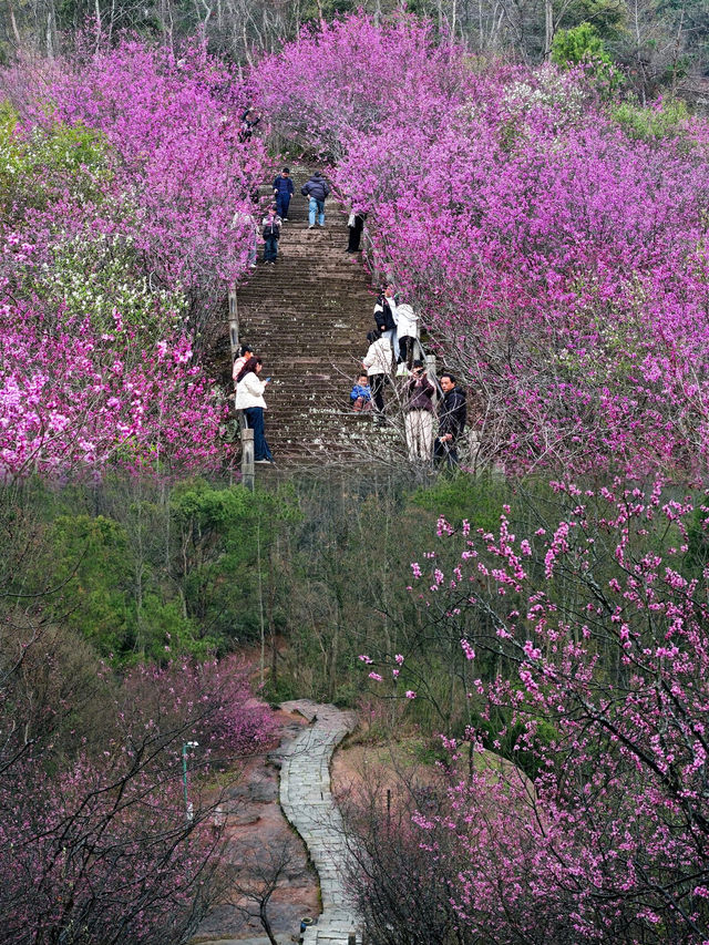 台州小眾旅遊地，邂逅醉美天台霞光