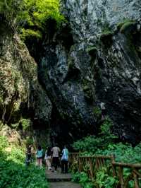 廬山真面目旅遊全攻略！帶你領略匡廬奇秀