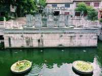 The Mountain's Whisper: Seeking Tao in Guizhou's Wild Embrace