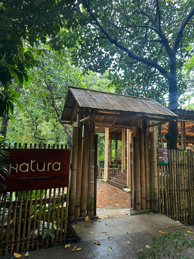 🌿曼谷綠意爆棚咖啡廳！雨天聽雨吃泰餐直接治癒💦