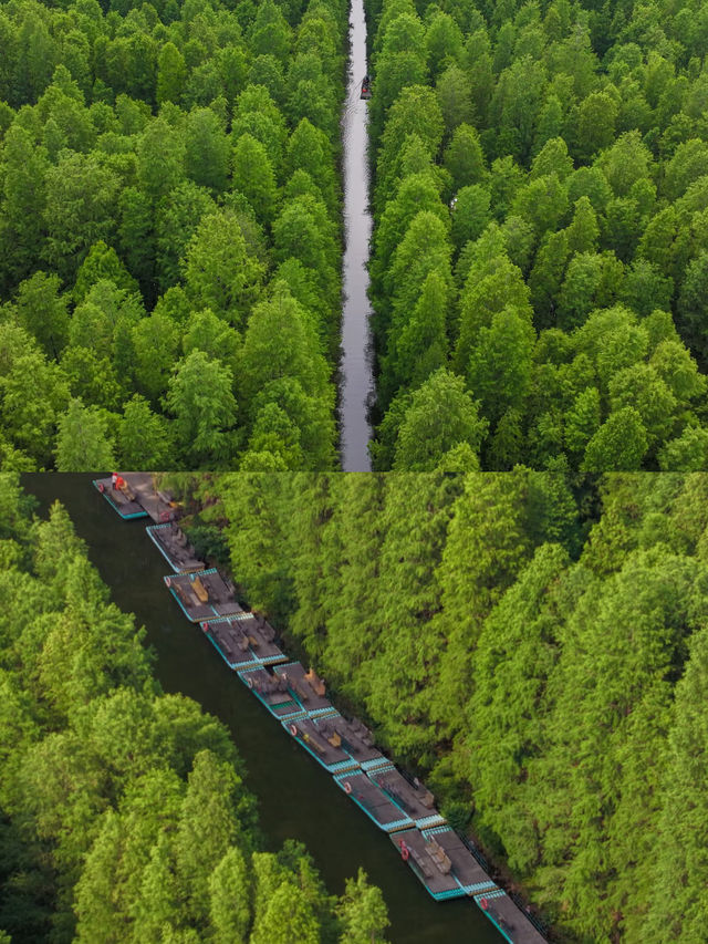 不容錯過嘅寶藏旅行地