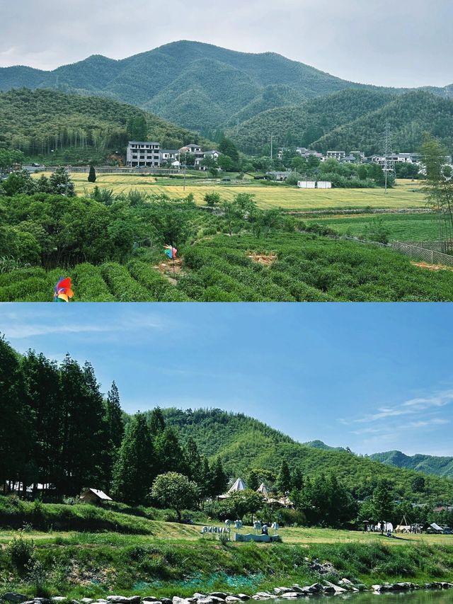 從安吉歸來