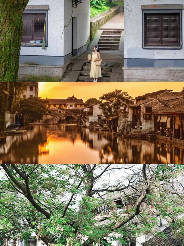 暑假帶小朋友去紹興，體驗感爆棚嘅親子遊