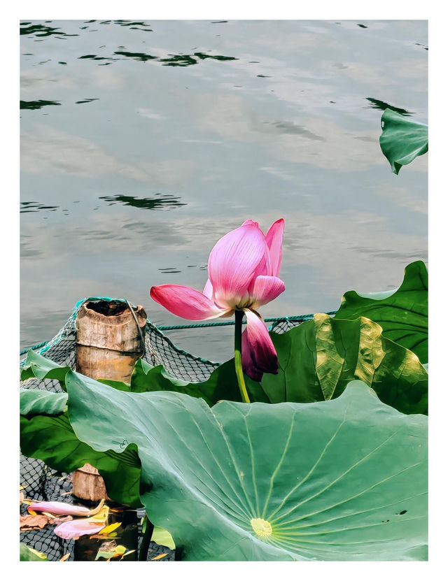 杭州旅遊推薦