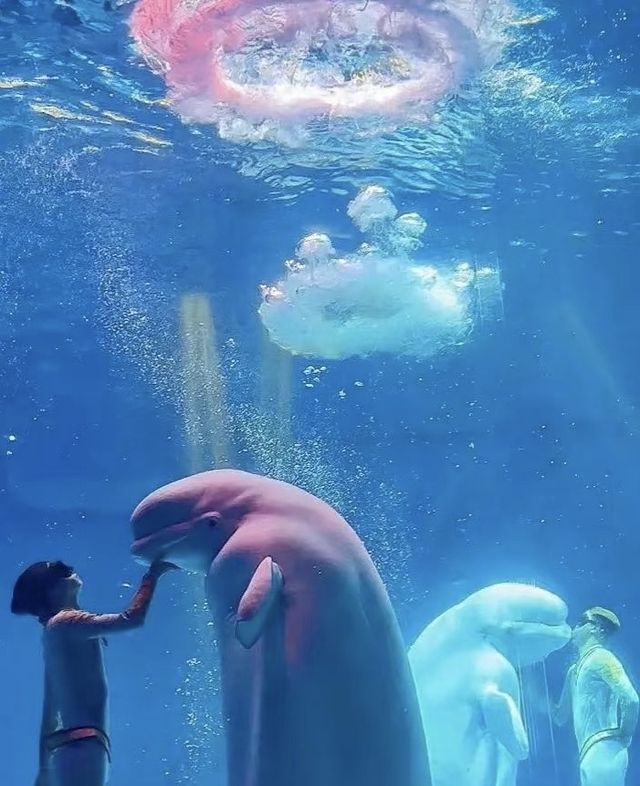 誤入海底三萬里 來場浪漫海底約會