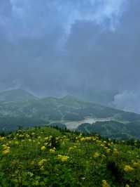 雨天徒步茶坪｜邂逅宮崎駿同款小黃花秘境