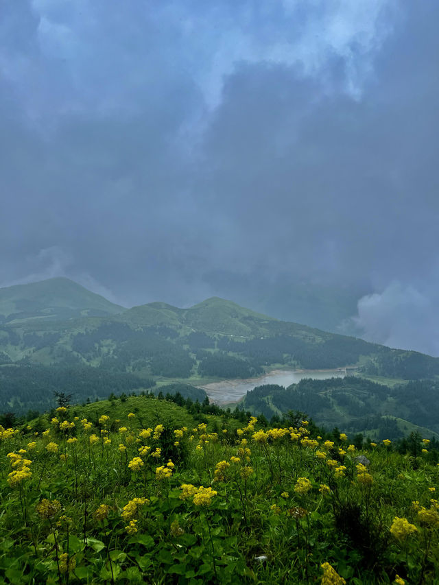 雨天徒步茶坪｜邂逅宮崎駿同款小黃花秘境