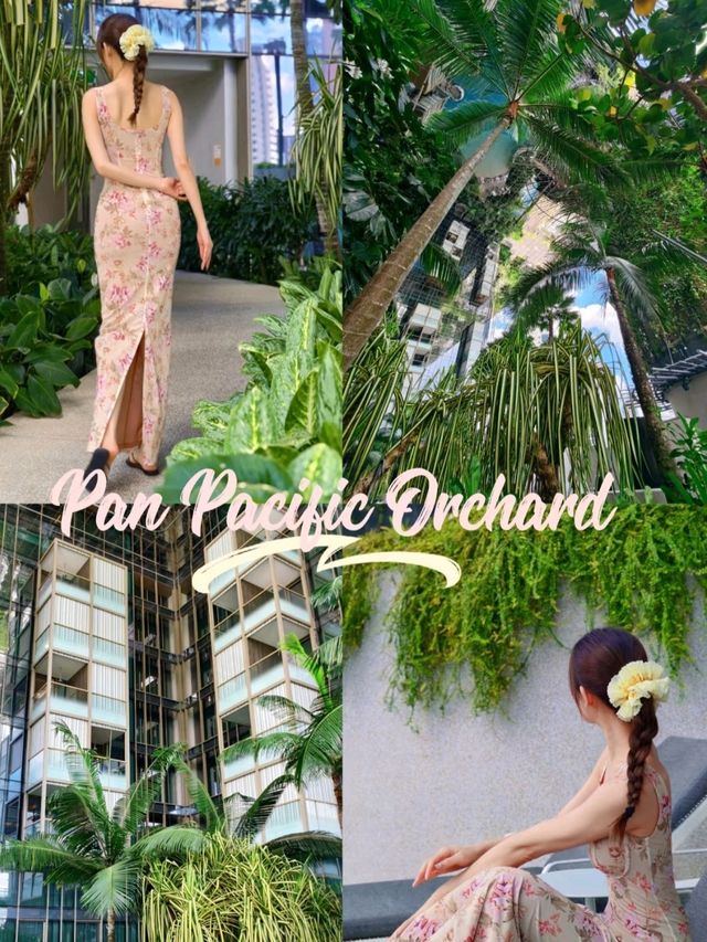 Pan Pacific Orchard in Singapore is Astonishing 🤩🌹