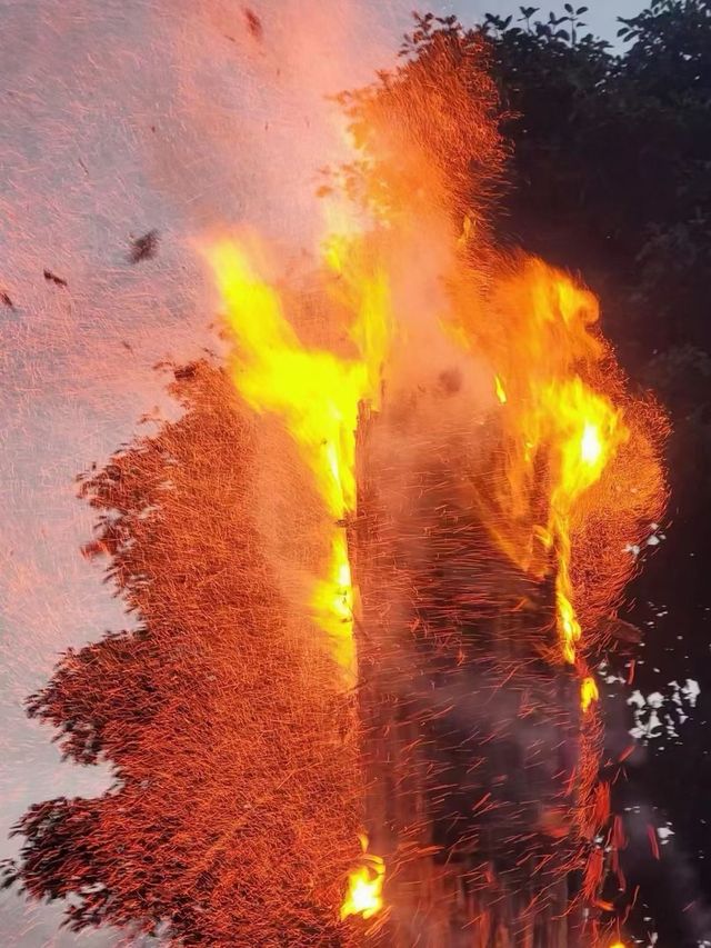在22℃的大理，感受火把節100℃的熱情