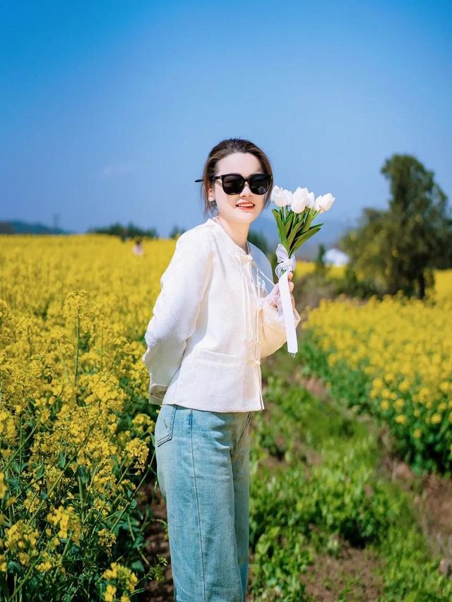 誤入油畫世界｜門源油菜花海，每一幀都是壁紙