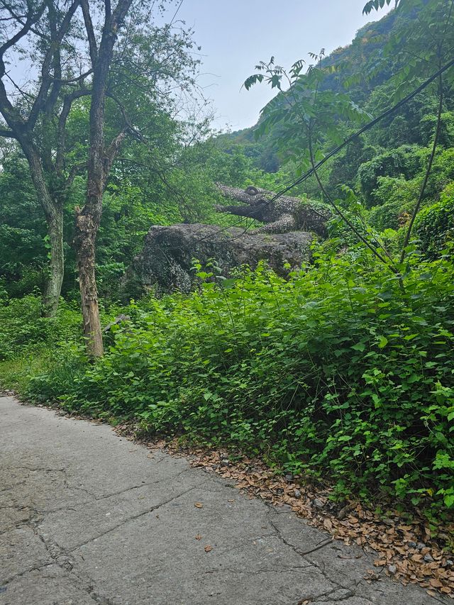 浦江2日遊攻略嚟啦！呢座杭州周邊嘅寶藏小城好啱短途遊玩，既可以爬山遠足，又可以感受江南水鄉嘅韻味，週末