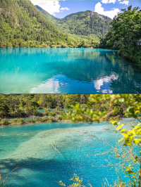 🔥Who hasn't visited 25°C Jiuzhaigou in the middle of summer yet~