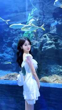 鄭州海洋館 | 超詳細遊玩攻略
