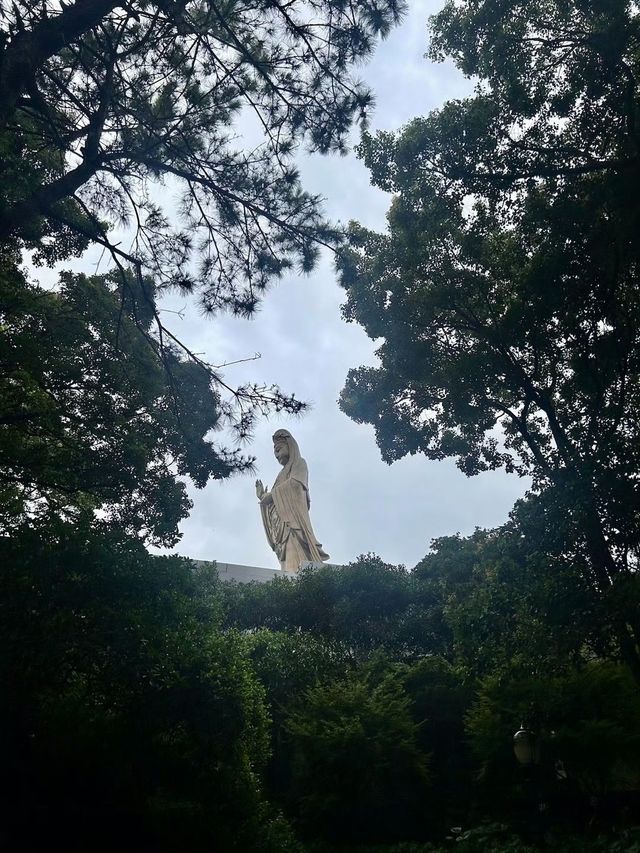 舟山普陀山風景區遊覽攻略：海天佛國的深度探秘