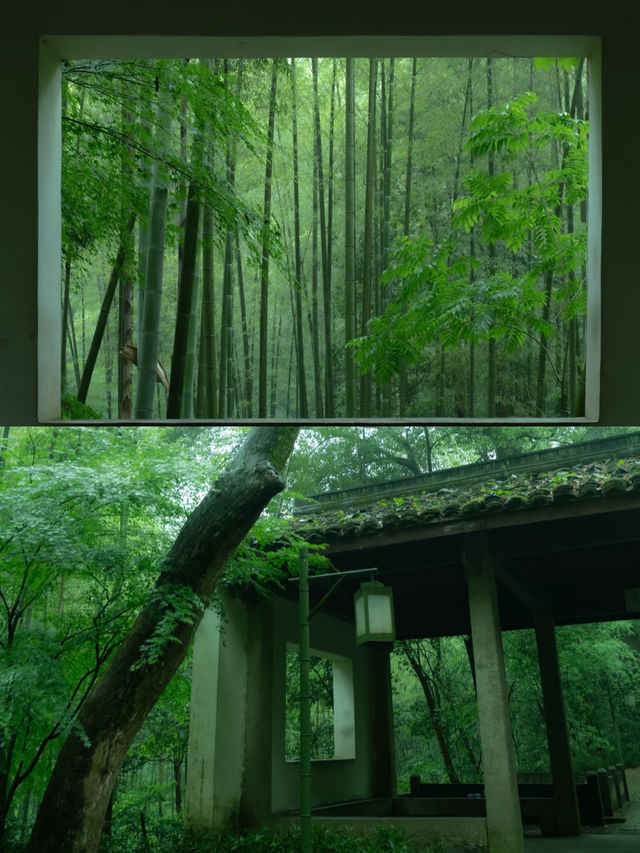 漫步杭州竹徑