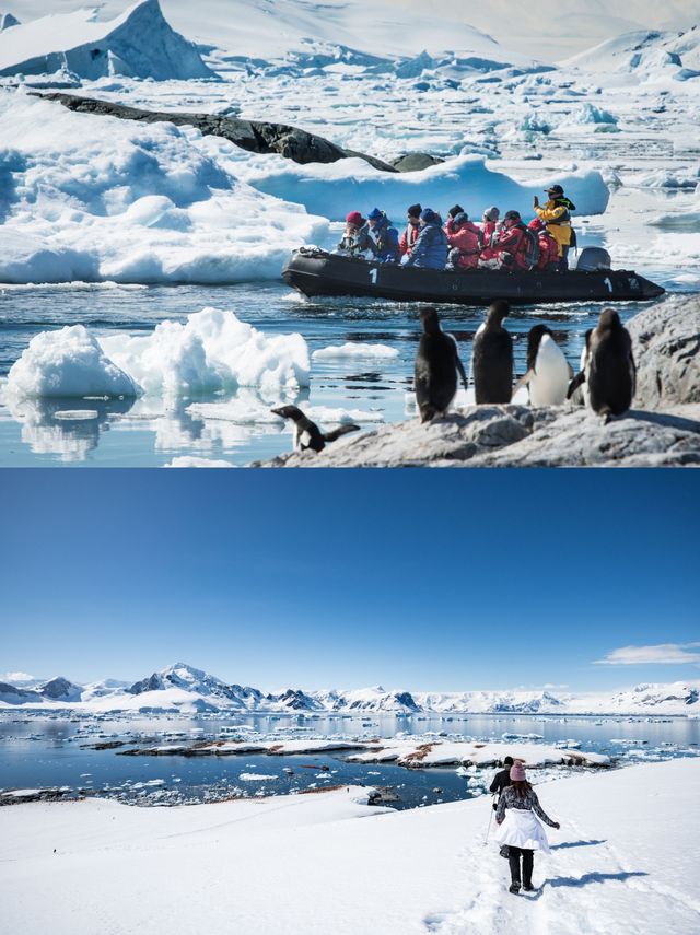 2025年南極春節旅行早鳥船票開售！