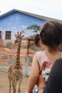 秦嶺野生動物園超全攻略