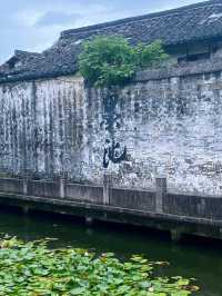 雨落江南岸，我在紹興的三日醉夢