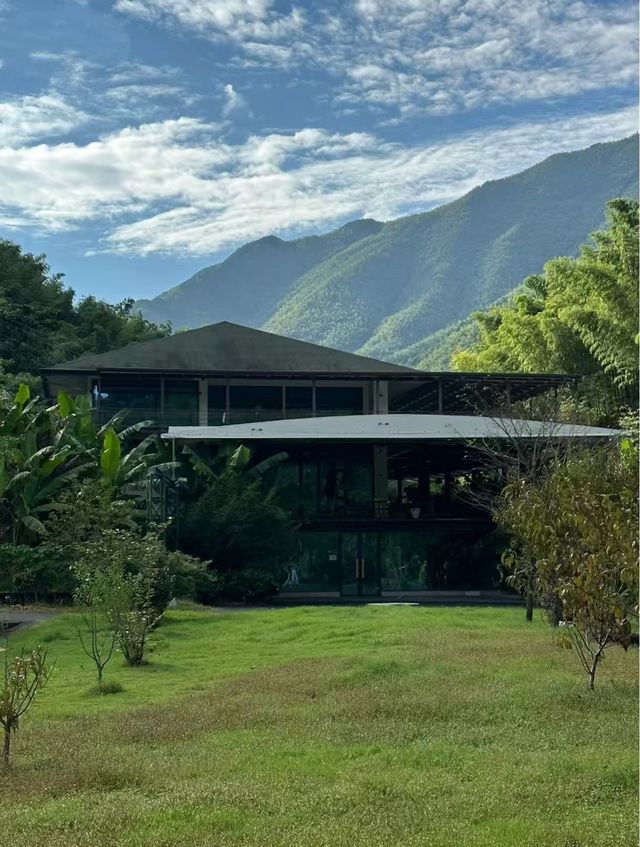 在衢州!住進森林小木屋超chill 在衢州!住進森林小木屋超chill