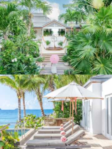 在白馬莊園，截取一片盛夏