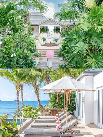 在白馬莊園，截取一片盛夏